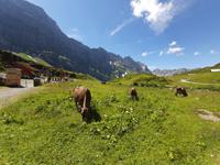 Wanderung um den Trübsee...