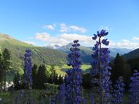 004 Schatzalp -  Blick in die Bergwelt