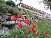 084 Schatzalp -  Alpengarten