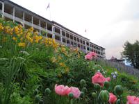 086 Schatzalp -  Alpengarten