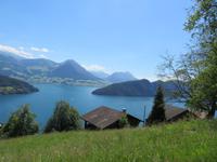 111 Rigi-Kaltbad Blick über den Vierwaldstättersee