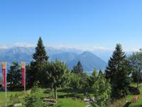 113 Rigi-Kaltbad Blick über den Vierwaldstättersee