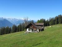 142 Fahrt mit der Rigi-Bahn