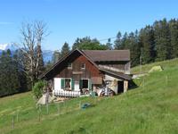 182 Sennerhütte an der Rigi