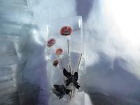 326 auf dem Titlis - Gletscherpalast