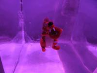 328 auf dem Titlis - Gletscherpalast