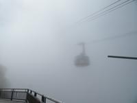 334 Bahn taucht in den Nebel