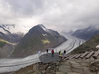 auf dem Eggishorn... - Blick zum Aletschgletscher
