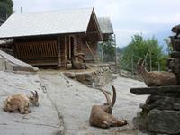 Tag 2 - 3 - Interlaken (5)