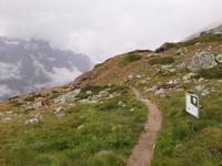 Rothorn - Wanderung auf dem Blumenweg von der Station 