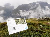 Rothorn - Wanderung auf dem Blumenweg von der Station 