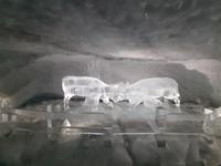 auf dem Kleinen Matterhorn... - Gletscherpalast