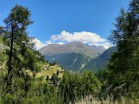 Wanderung von der Station 