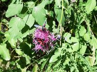 Wanderung von der Station 