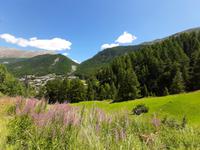 Wanderung von der Station 