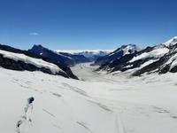 auf dem Jungfraujoch... - Blick zum Aletschgletscher 