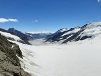 auf dem Jungfraujoch... - Blick zum Aletschgletscher 