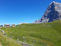 Kleine Scheidegg 