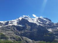 Jungfrau 