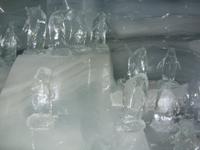 Tag 3 - 4 - Jungfraujpch - Dach Europas (14)