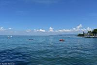 Schweizer Bodensee - Rorschach - Blick Richtung Bregenz