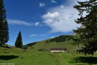 Wanderung auf der Schwägalp - Alpwirtschaft und Natur