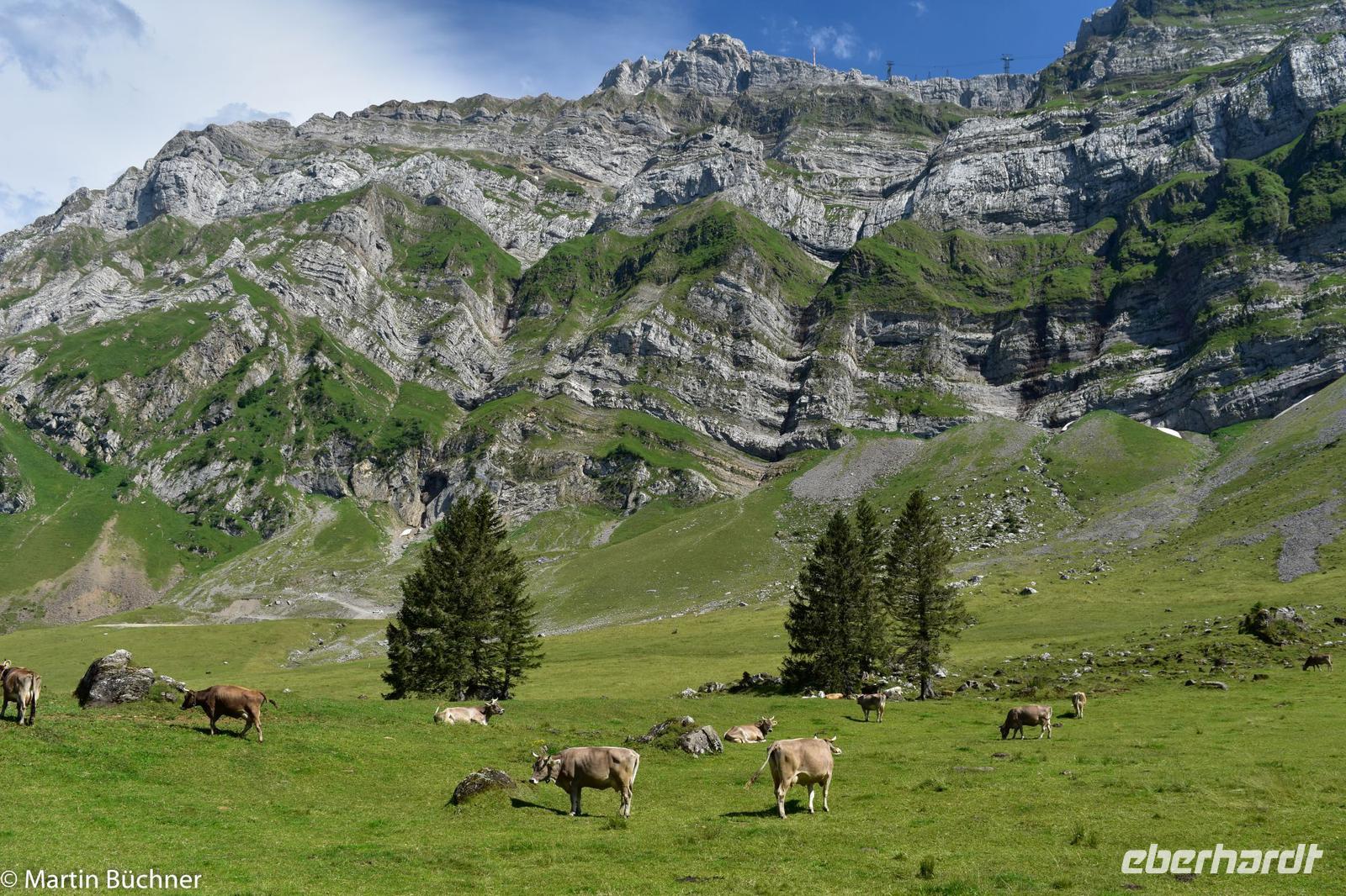 Wanderung auf der Schwägalp - Alpwirtschaft und Natur