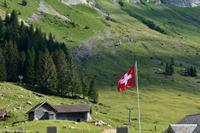 Wanderung auf der Schwägalp - Alpwirtschaft und Natur