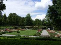 Tag 4 - 2 - Besuch in der Bundeshaupstadt Bern (2) - Rosengarten