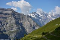 Blick von der Kleinen Scheidegg in Richtung Wengen (Wengenalpbahn) und Lauterbrunnen