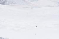 Gletscher am Jungfraujoch - Größenvergleich Mensch(en)