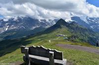 Wanderung vom Männlichen zur Kleinen Scheidegg