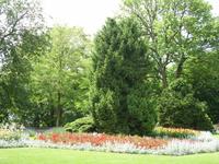 Tag 4 - 2 - Besuch in der Bundeshaupstadt Bern (3) - Rosengarten