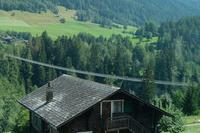 Die Hängebrück in Bellwang