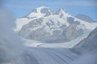 Eggishorn (ca. 2.869 m) - Concordiaplatz, Mönch, Trugberg (3.933 m) und Eiger