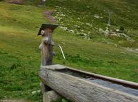 Fiescher Alp (2.224 m)