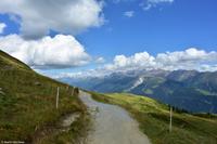 Fiescher Alp (2.224 m)