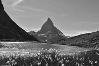 Matterhorn am Riffelsee