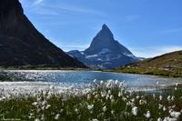 Matterhorn am Riffelsee