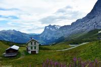 Kleine Scheidegg (2.061 m) - Blick in Richtung Grindelwald und Wetterhorn