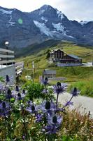 Kleine Scheidegg (2.061 m) - Mönch, Jungfraujoch und Jungfrau