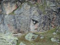 Flüela-Pass - Überraschung im Fels