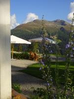 Davos, Alpengarten mit Blick auf Jacobshorn