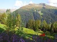 Davos, Schatzalp mit Jacobshorn