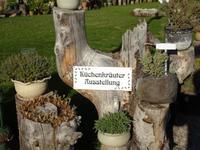 Davos, Schatzalp, Alpinum