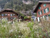 20200919 Haeuser in Interlaken