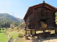 Zermatt - Wanderung von Furi zurück nach Zermatt - alter Ortsteil Blatten
