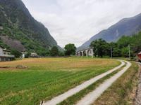 Fahrt mit dem Bernina-Express (Kreisviadukt von Brusio)
