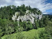 Fahrt mit dem Glacier-Express (Vorderrheintal - Rheinschlucht)