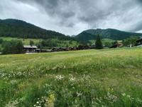 Fahrt mit dem Glacier-Express (Goms)